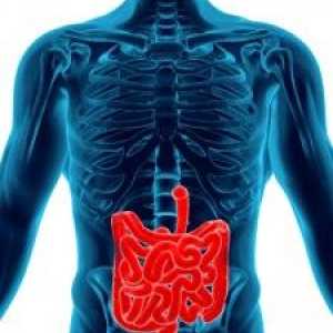 RMN-ul a stomacului și a intestinelor: diagnostic moderne ale cavității abdominale