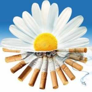 Gânduri dureroase despre cum să renunțe la fumat - remedii populare va ajuta în acest