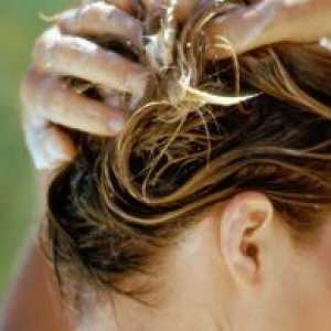 Se spală părul cu muștar. Beneficiu sau rău?