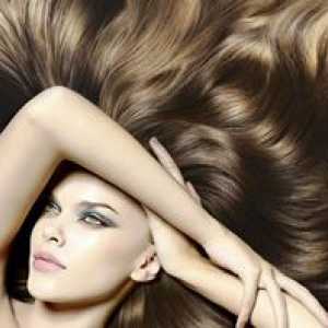 Remedii populare pentru îngrijirea părului