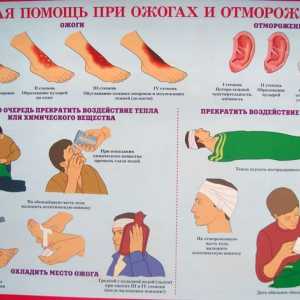Asistență medicală de urgență. CPR și de prim ajutor