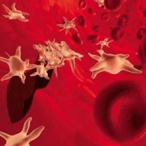 Nivelurile scazute de trombocite din sânge