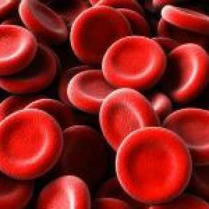 Numărul Norm de celule roșii din sânge
