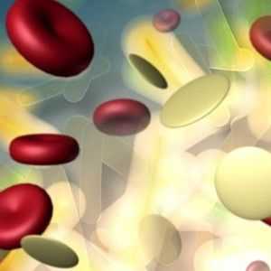 Norma leucocitelor în urină de bărbați, motivele pentru creșterea numărului de celule albe din…