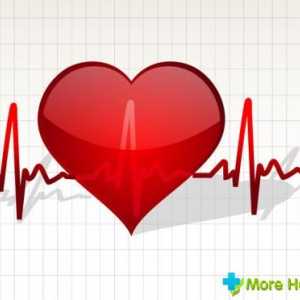 Inima umană normală: ciclice și abaterile