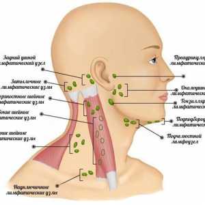 Ce inflamarea ganglionilor limfatici din spatele urechii?