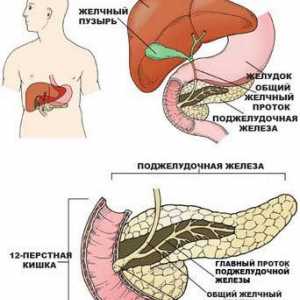 Criterii pentru boala noastră pancreasului