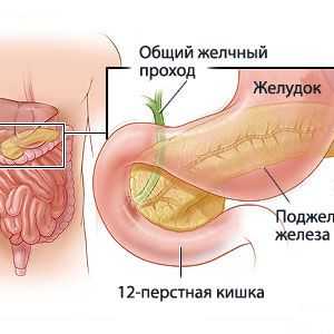 Simptomele și tratamentul inflamației pancreatice la un copil