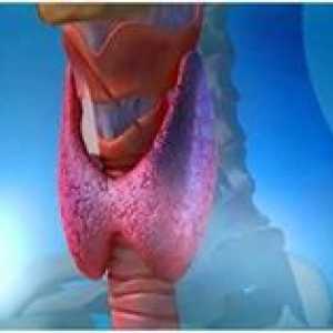 Principalele simptome ale bolii tiroidiene