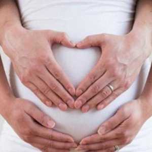 Comentarii pentru tratamentul de infertilitate remedii populare de sex masculin și feminin