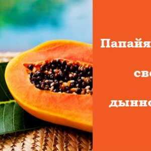 Papaya - proprietăți utile de fructe neobișnuite