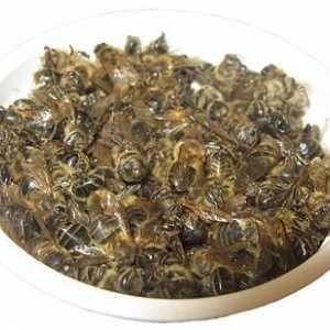 Bee Podmore - un agent eficient pentru tratarea diferitelor boli