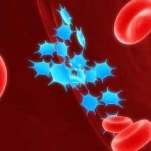 De ce este scăderea trombocitelor din sânge? Principalele simptome și semne.