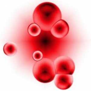 Ridicati remedii populare ale hemoglobinei. anemie