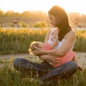 Apariția fisurilor pe mameloane în timpul alăptării: cauze si tratament
