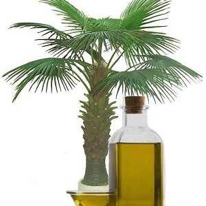 Proprietăți utile și dăunătoare ale uleiului de palmier