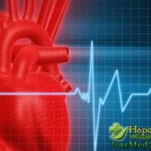 Ajuta remedii populare în tratamentul inimii Artim