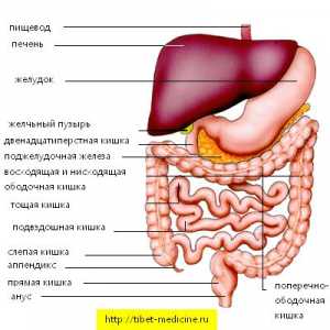 Leziunile ale tractului gastro-intestinal, în medicina tibetană