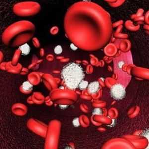 Promovat de ICSU în analiza sângelui: principalele cauze de încălcări.