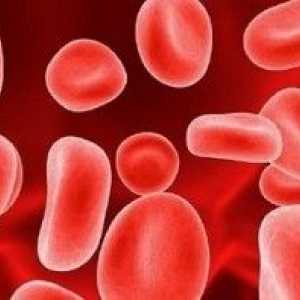 Hemoglobină ridicată în sânge