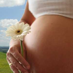 Suplimentarea cu calciu pentru gravide