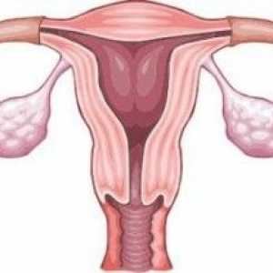Simptomele menopauzei la femeile in varsta de 40 de ani