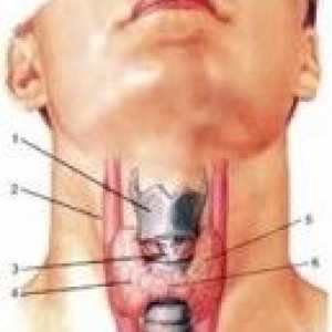 Semne ale unei boli tiroidiene
