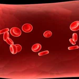 Alimente pentru a crește hemoglobina din sânge
