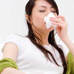 Prevenirea gripei. Încasări din comună și gripa rece.