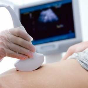 Realizarea și pregătirea pentru ultrasunete a stomacului