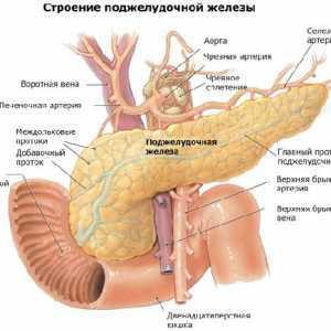 Reactivă pancreatita - atunci cand pancreasul devine inflamate