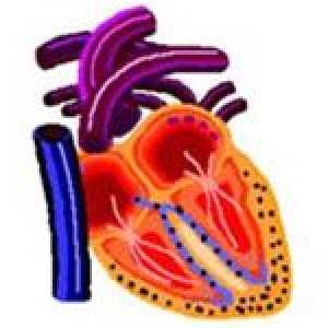 Cardiomiopatia restrictiva, și în special tratamentul acestora