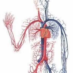 Bolile cardiovasculare în medicina tibetană