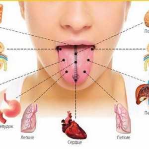 Simptomele bolii de sex feminin glandei tiroide: natura și simptomele bolilor