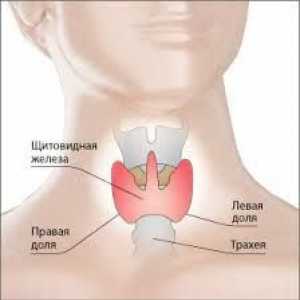 Simptomele tiroidei