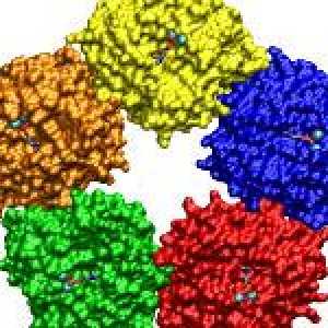 Ce este proteina C-reactivă în sânge, precum și motivele pentru creșterea acestuia