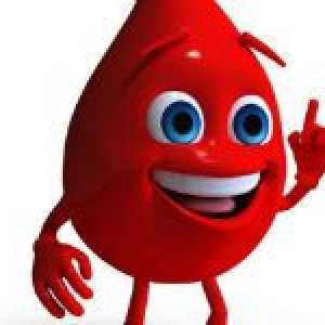Cât de mult sânge în corpul uman, și de ce depinde?