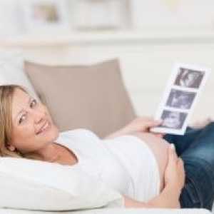 De câte ori se poate face cu ultrasunete în timpul sarcinii? Scopul și decriptarea