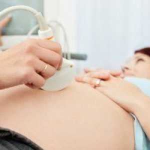 Motivele pentru creșteri și scăderi ale valorilor ALT și AST în timpul sarcinii