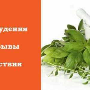 Plante medicinale pentru pierderea in greutate - naturale și ieftine