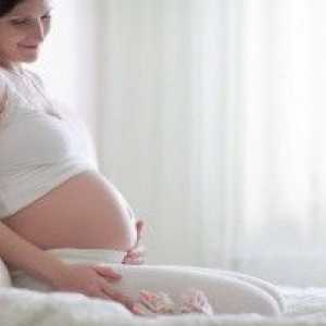 Ureaplasma în timpul sarcinii: implicații pentru copil și cum să le evite
