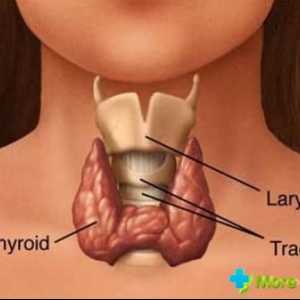 Noduli tiroidieni: Este periculos?