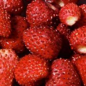 Sezonul de căpșuni, crește gradul de sănătate într-un milion!