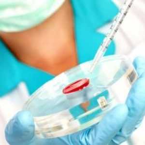 Tipuri de hemoglobina, diagnosticare si rezultatele decodificare ale studiului