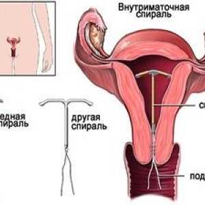 Influența Marinei menstruației la femei 18