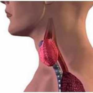 Secundare hipotiroidism: cauze, simptome și tratament