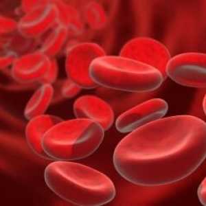 Analiza Scopul și transcriere a coagulării sângelui
